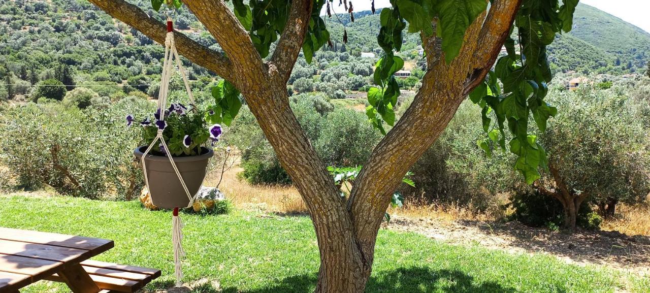 Lily Home_Lefkada ~ Private Country House Kondaraíni Buitenkant foto