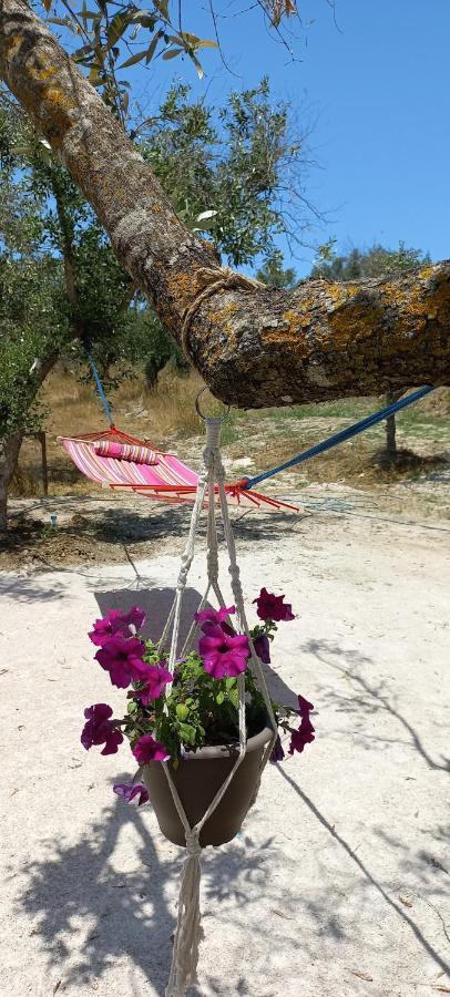 Lily Home_Lefkada ~ Private Country House Kondaraíni Buitenkant foto