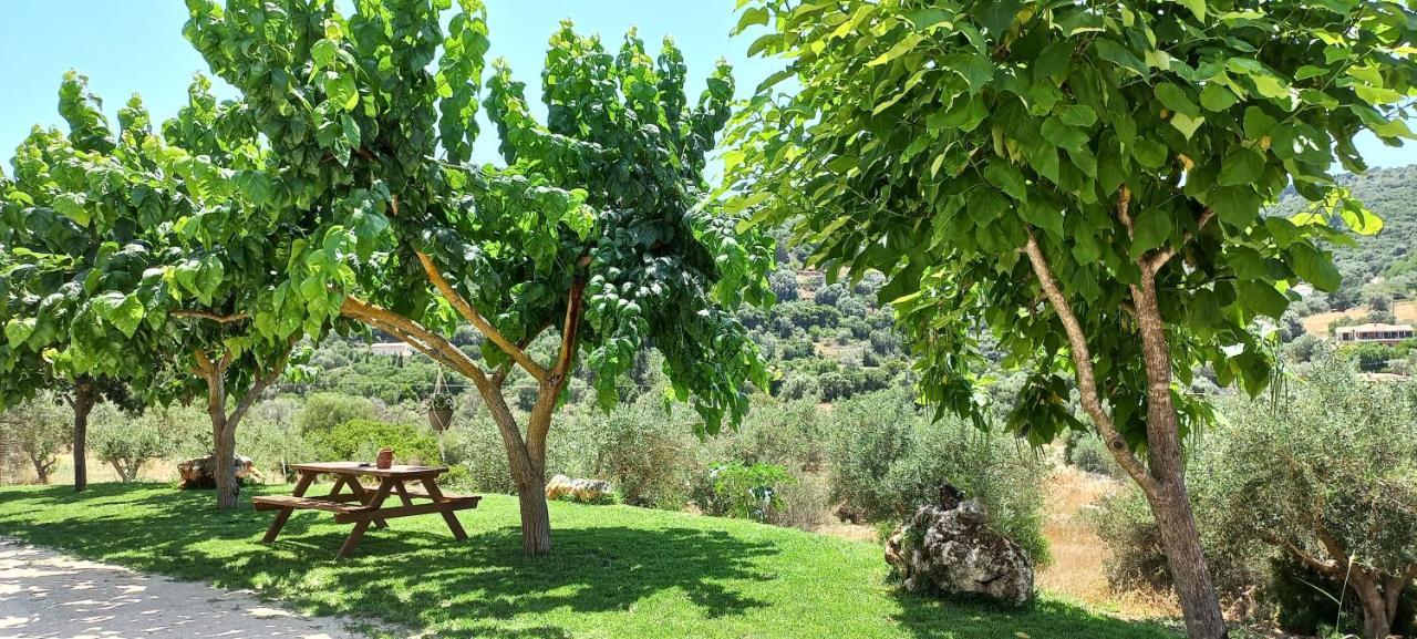 Lily Home_Lefkada ~ Private Country House Kondaraíni Buitenkant foto