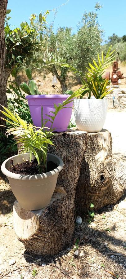 Lily Home_Lefkada ~ Private Country House Kondaraíni Buitenkant foto