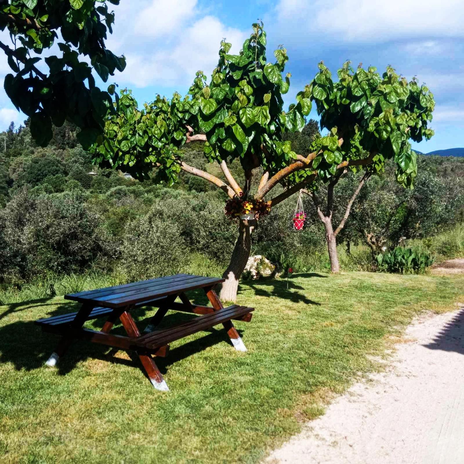 Lily Home_Lefkada ~ Private Country House Kondaraíni Buitenkant foto