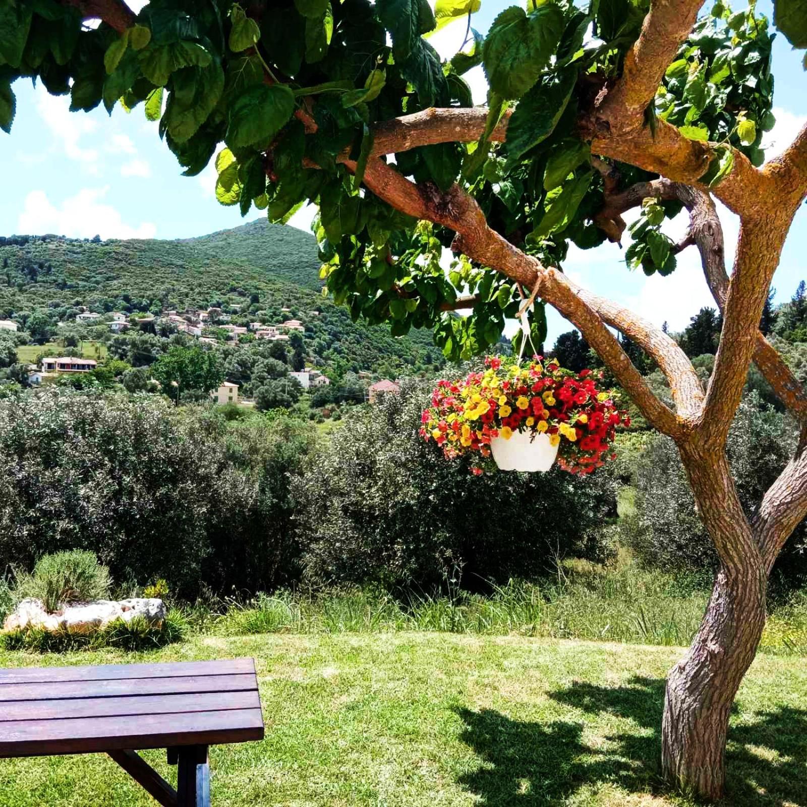 Lily Home_Lefkada ~ Private Country House Kondaraíni Buitenkant foto